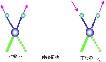 红外41.jpg