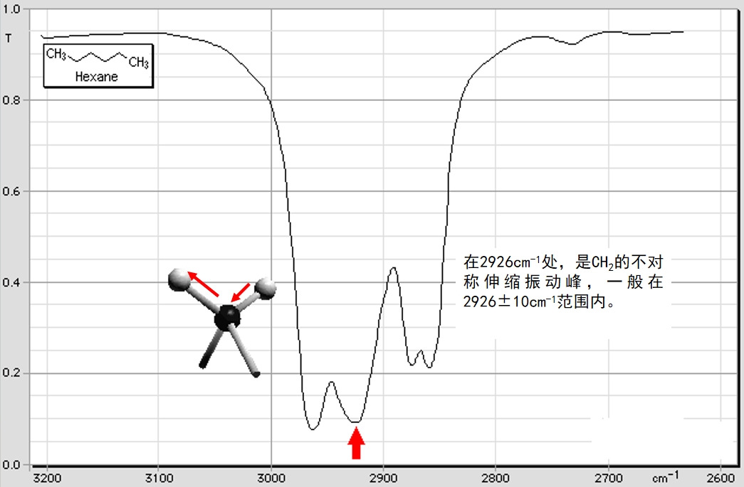 红外50.jpg