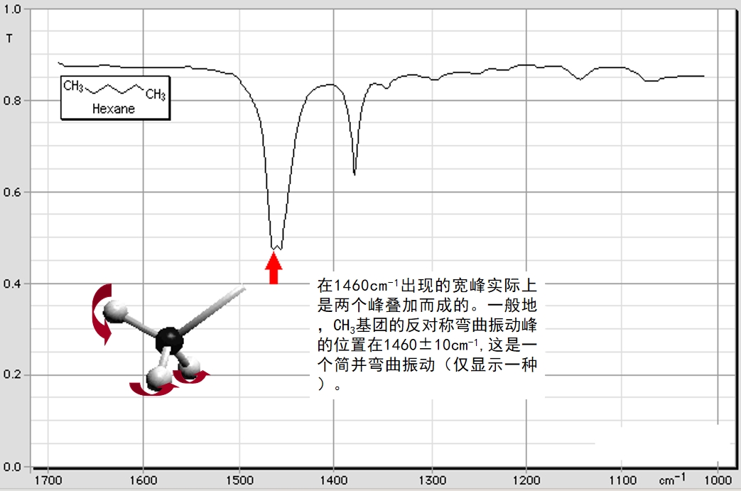 红外55.jpg