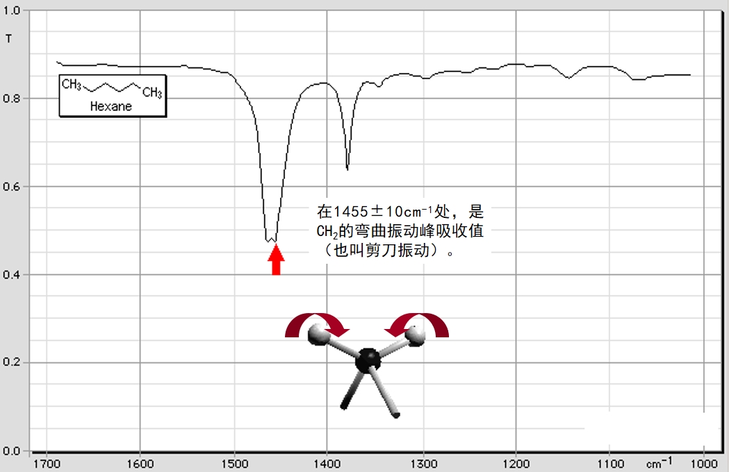 红外56.jpg